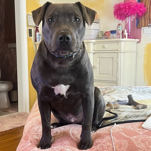 Meet your Posher, Shelley - Picture 10 of 10